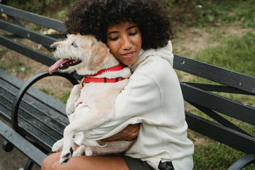 My Dog In Heat Is Panting A Lot - What Do I Do?