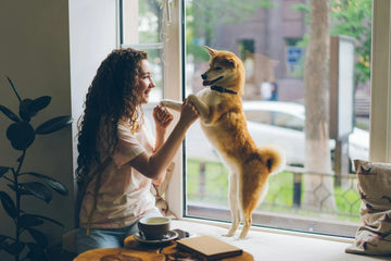 Help! My Dog Won’t Drink Meds! 5 Tricks