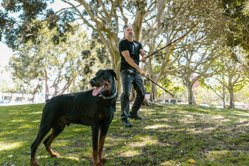 Is Your Dog Too Protective Of Your Partner?