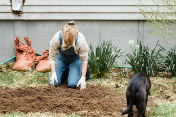How To Keep Dogs Out Of Garden Boxes