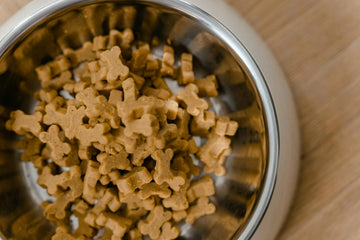 5 Telltale Signs That Your Dog Food Is Good