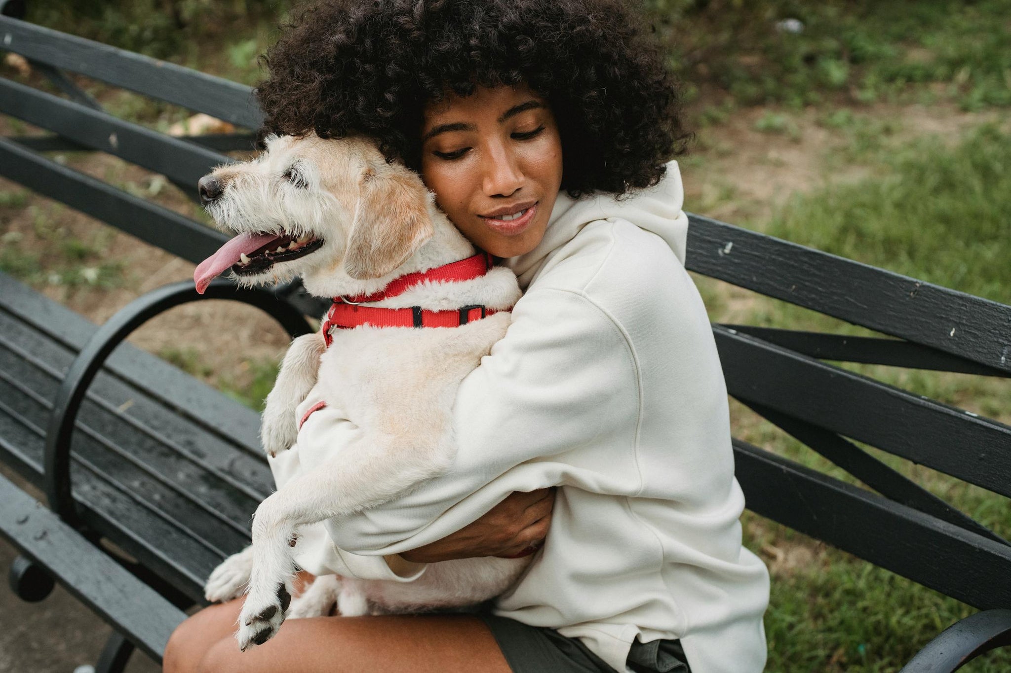 My Dog In Heat Is Panting A Lot - What Do I Do?