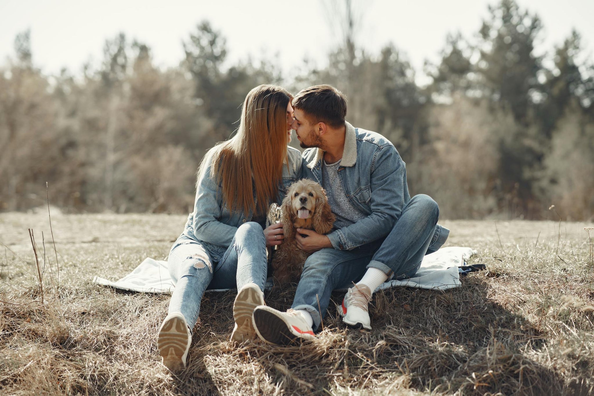 Help! My Pup Interrupts When I Kiss My Partner!