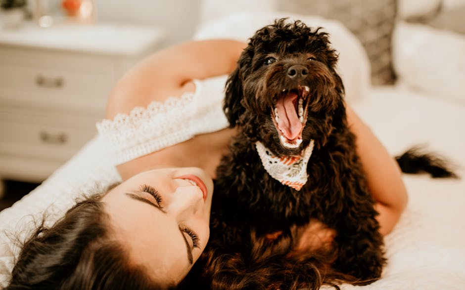 Dog related to Tick Prevention for Dogs: What Works and What to Avoid