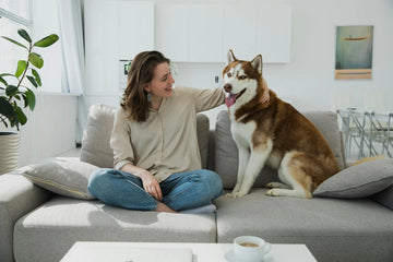 My Dog Is Very Clingy! Should I Be Worried?