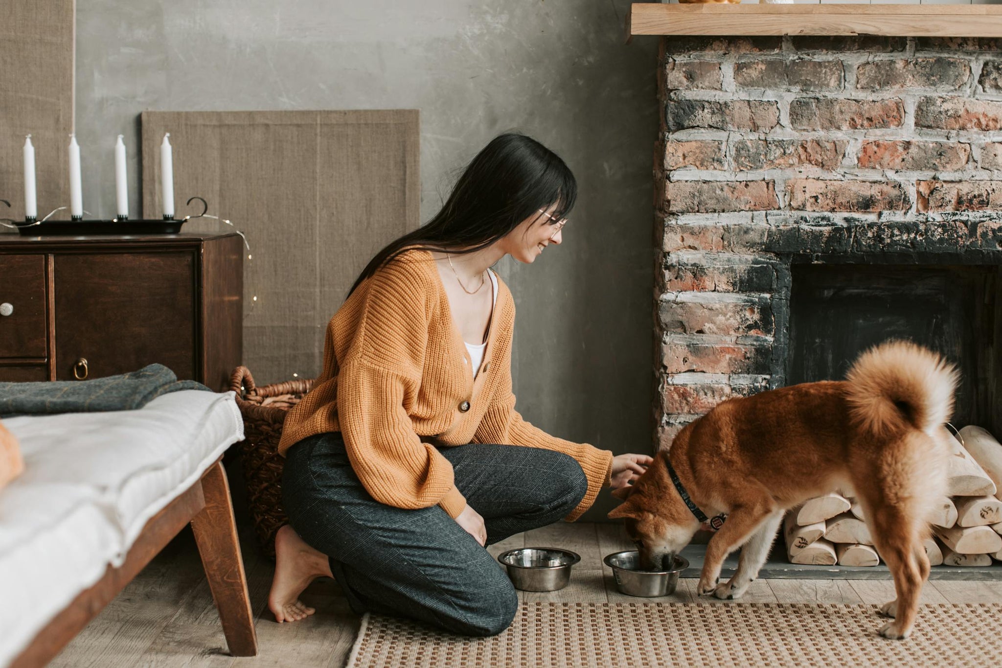 Does Your Dog Only Eat When You’re Around?