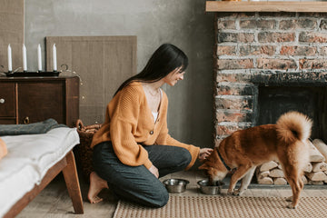 Does Your Dog Only Eat When You’re Around?