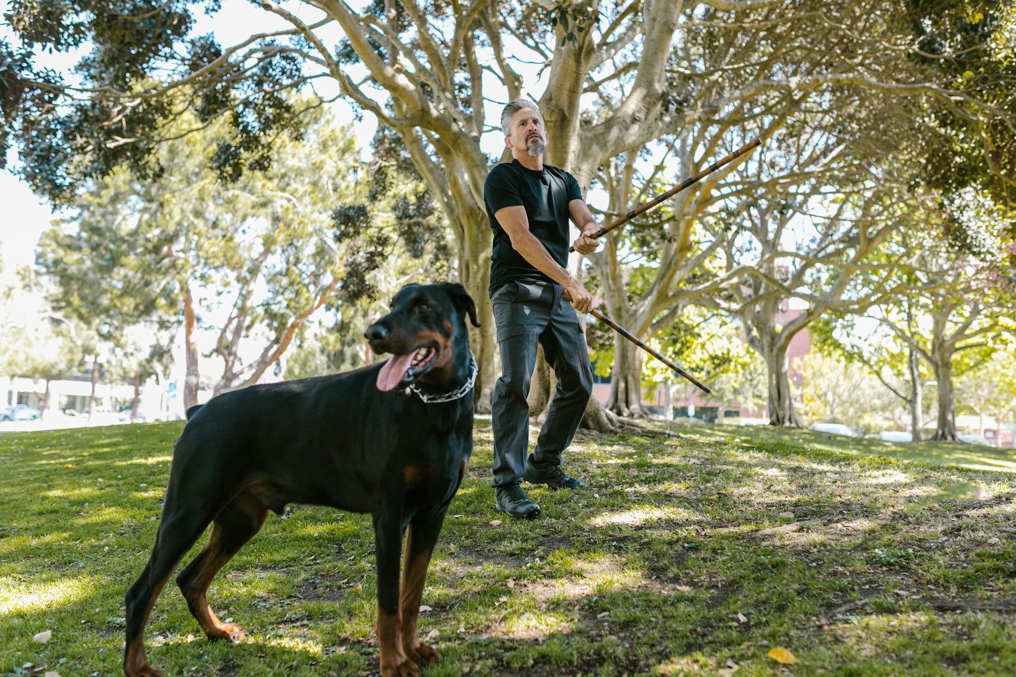 Is Your Dog Too Protective Of Your Partner?