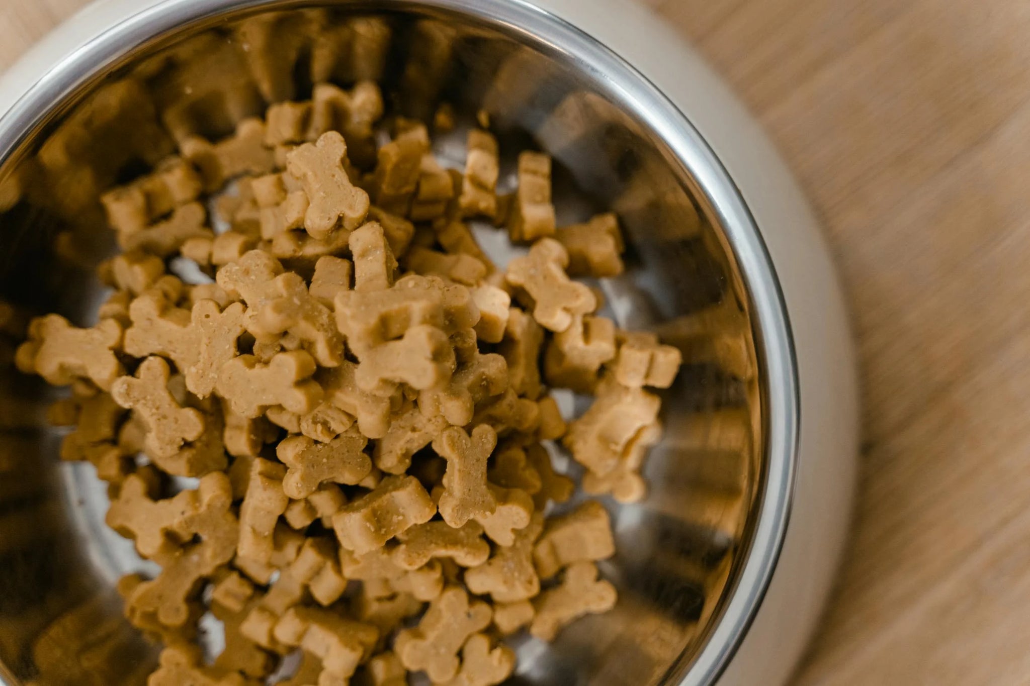 5 Telltale Signs That Your Dog Food Is Good