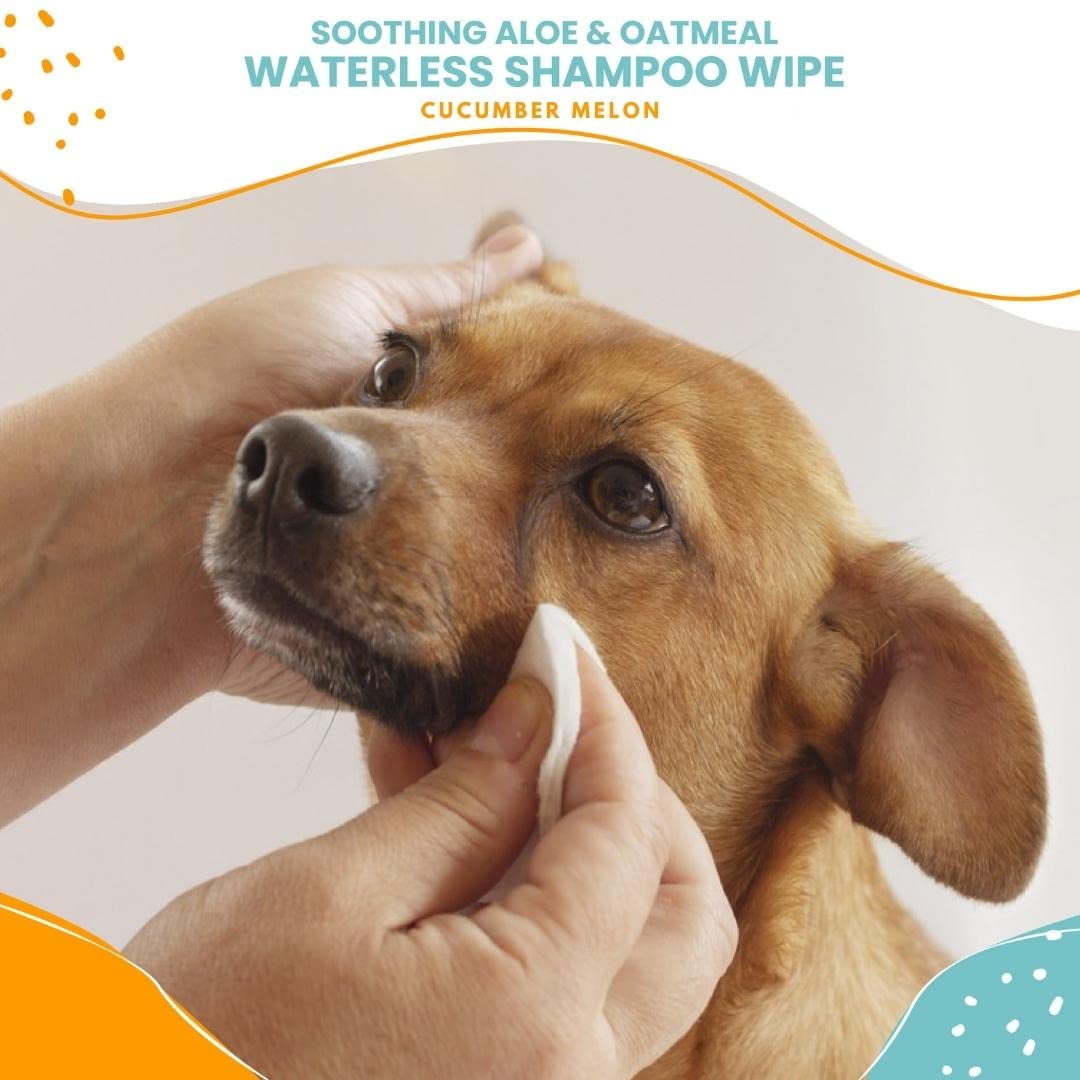 Nootie Waterless Shampoo Wipes For Dogs Aloe and Oatmeal
