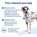 PetSafe Easy Walk Dog Harness 