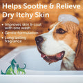 Dog itchy skin