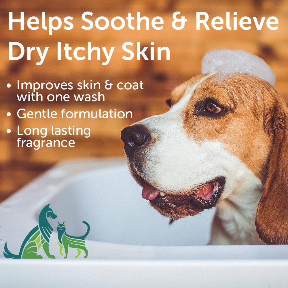 Dog itchy skin