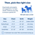 PetSafe Easy Walk Dog Harness 