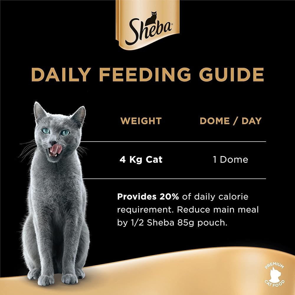 Cat Shrimp & Tuna Filets