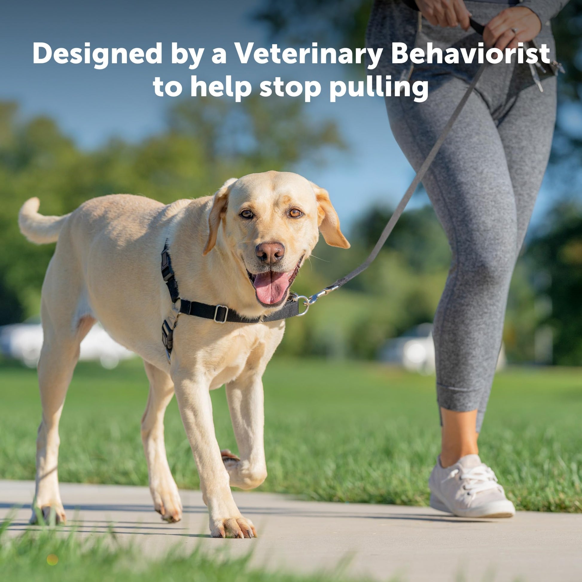 PetSafe Easy Walk Dog Harness 