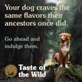 Taste of the wild pacific Stream
