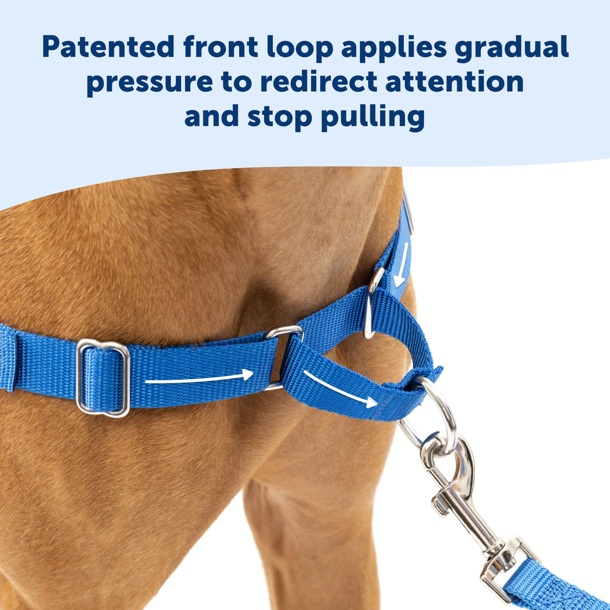 PetSafe Easy Walk Dog Harness 