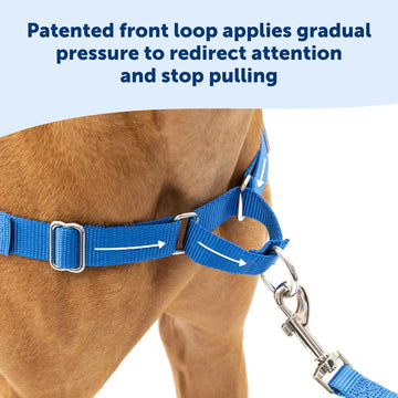 PetSafe Easy Walk Dog Harness 