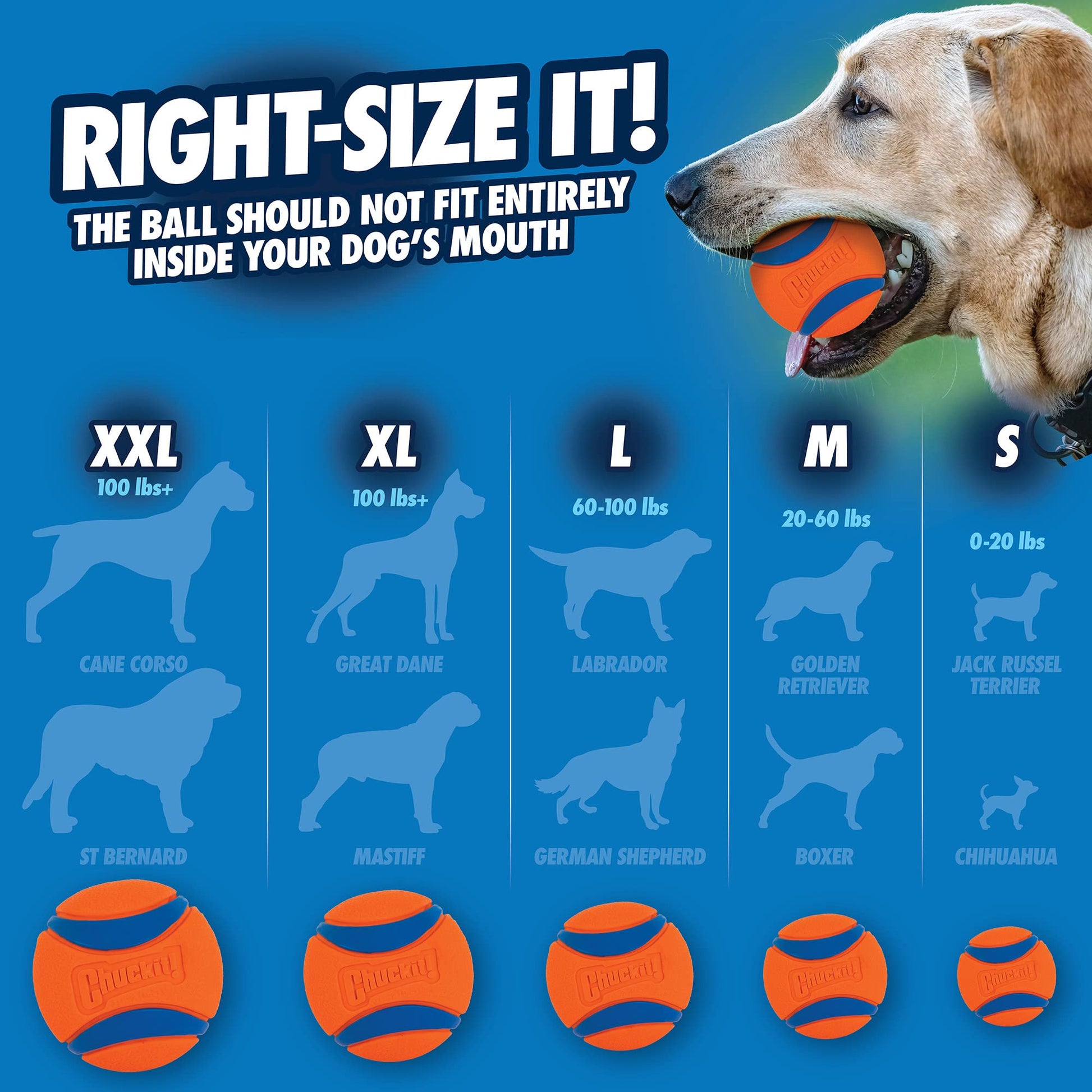 Floating Rubber Dog Ball