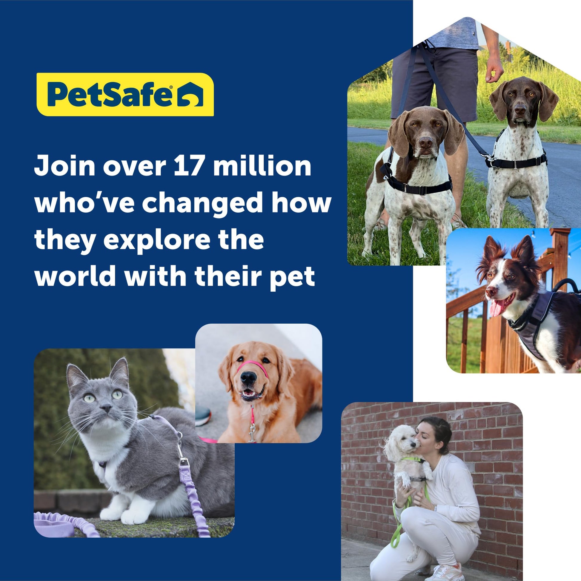 PetSafe Easy Walk Dog Harness 