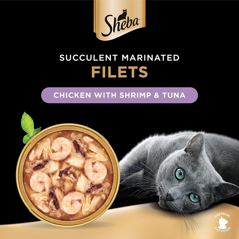 Cat Shrimp & Tuna Filets